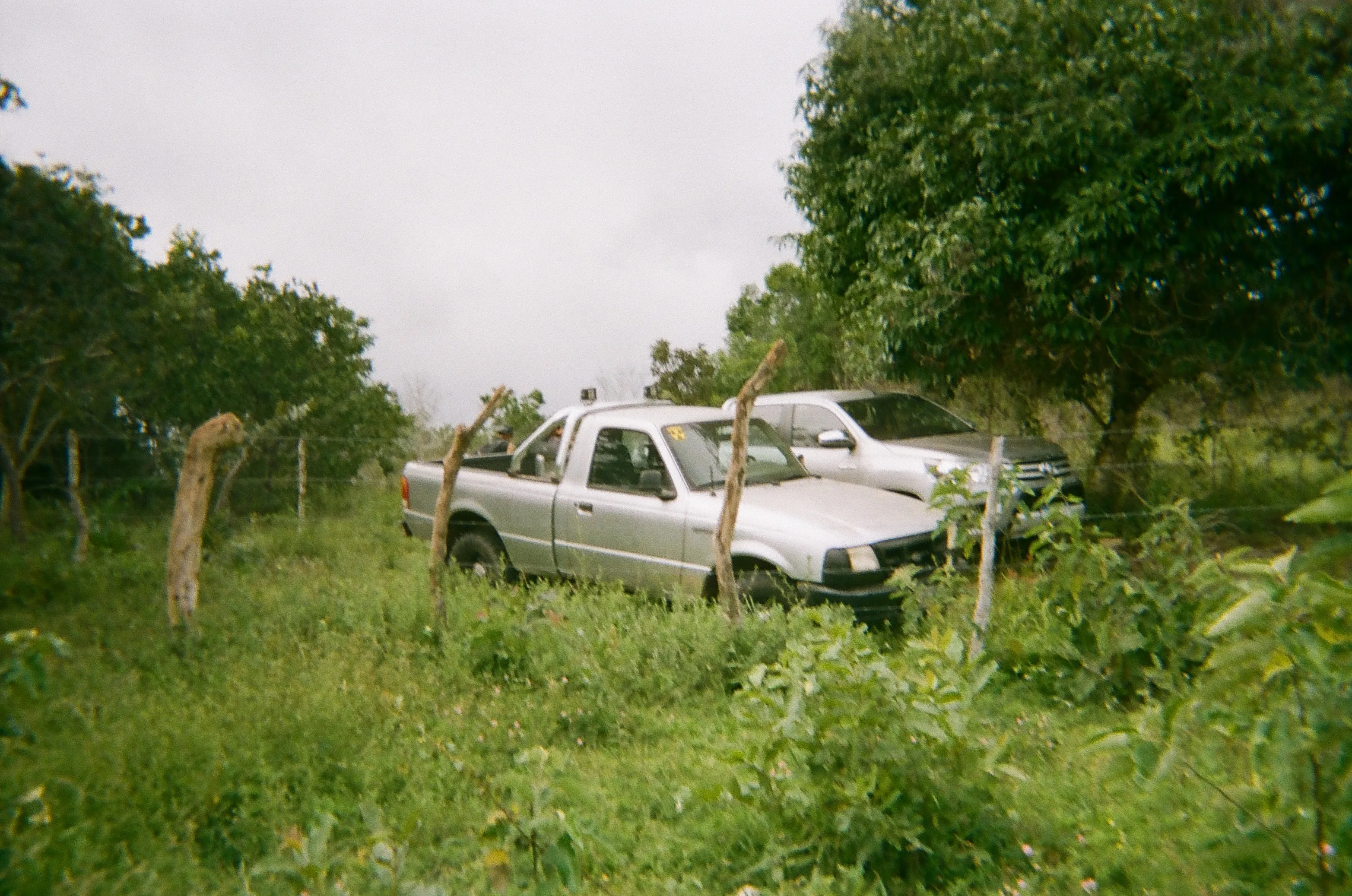 image-of-project